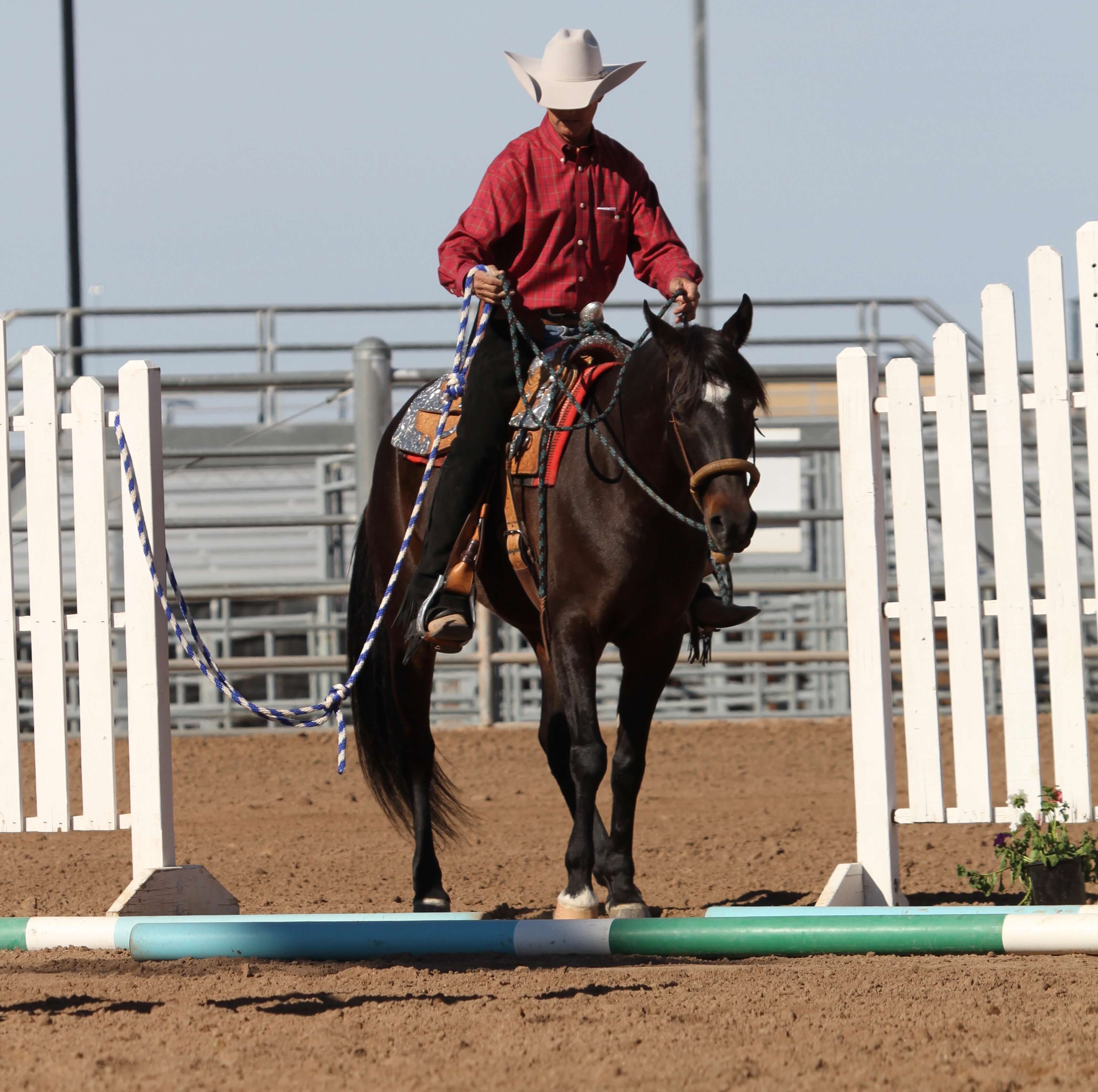 Jeffrey Wilms Coaching